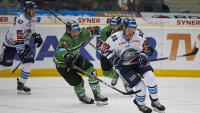 hokej boleslav